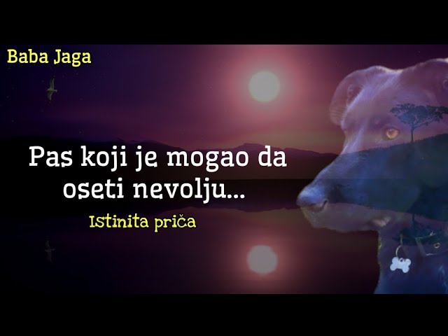 GARA- Istinita priča BABA JAGA