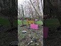 Отдых в лесу