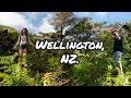 What To Do With Two Weeks In Wellington?