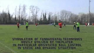 BALL POSSESSION: EXERCISES IN 1, 2 OR 3 GRIDS - Massimo Lucchesi