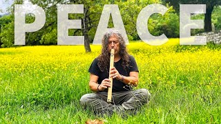 Yellow Fields Harmony - Healing Native American Flute Music in Nature
