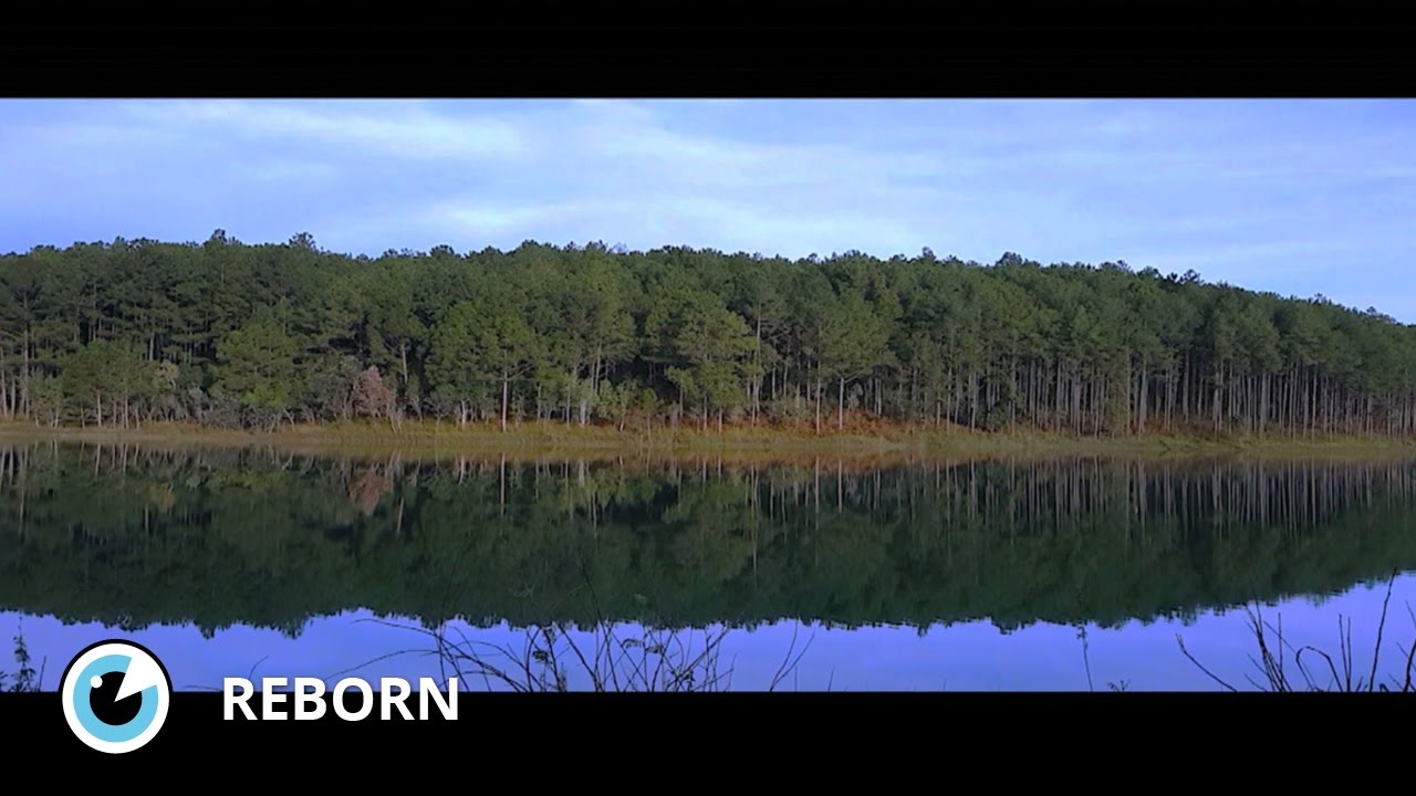 Reborn - Court Métrage - Mobile Film Festival 2017