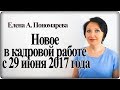 Новое в кадровой работе с 29.06.2017 - Елена А. Пономарева