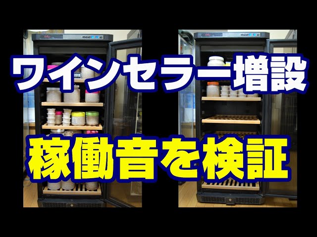 クワガタ。カブト虫用に中古大型ワインセラー購入。5台のワインセラー