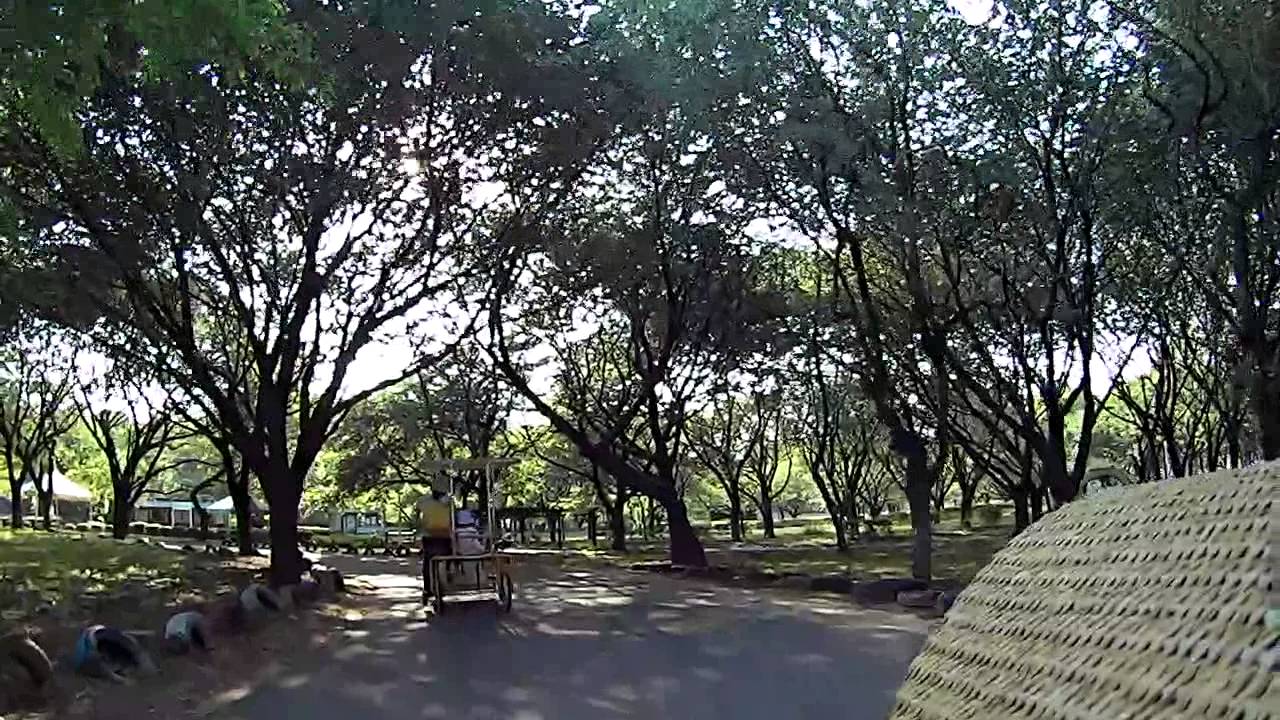 川本サングリーンパークの変形自転車　走行動画