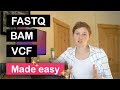 FASTQ BAM And VCF File Formats Easily Explained A Must Watch If You Have Had A DNA Test