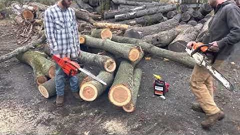 Echo 590 Timberwolf- (Easy) How to do muffler mod and carb tune.