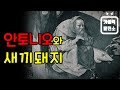 성 안토니오와 새끼돼지 사막의 교부 안토니오 아빠스 성인의 숨은 이야기 Eng Sub 미니다큐 가톨릭발전소 성 안토니오와 새끼돼지 사막의 교부 안토니오 아빠스 성인의 숨은 이야기 Eng Sub 미니다큐 가톨릭발전소
