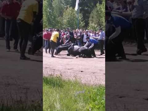 Когда сабантуй в мелеузе 2018 Когда сабантуй в мелеузе 2018