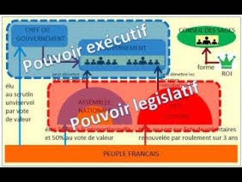 Vidéo: Différence Entre Institution Et Organisation