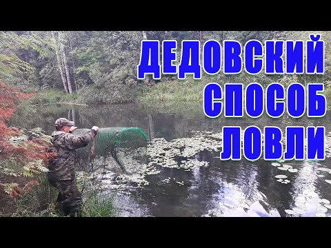 Video: Ako údiť Ryby Metódou Horúceho údenia