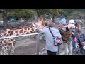 Izu animal kingdom　　伊豆アニマルキングダム の動画、YouTube動画。