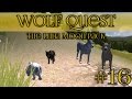 Wolf Quest 🐺 Slow Herd of Wolf Pups - Episode #16