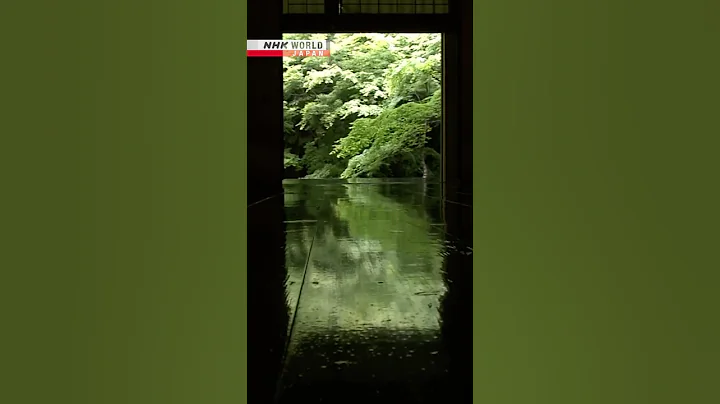 Reflections of green in KyotoーNHK WORLD-JAPAN NEWS #shorts