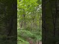 永井龍雲 たそがれ