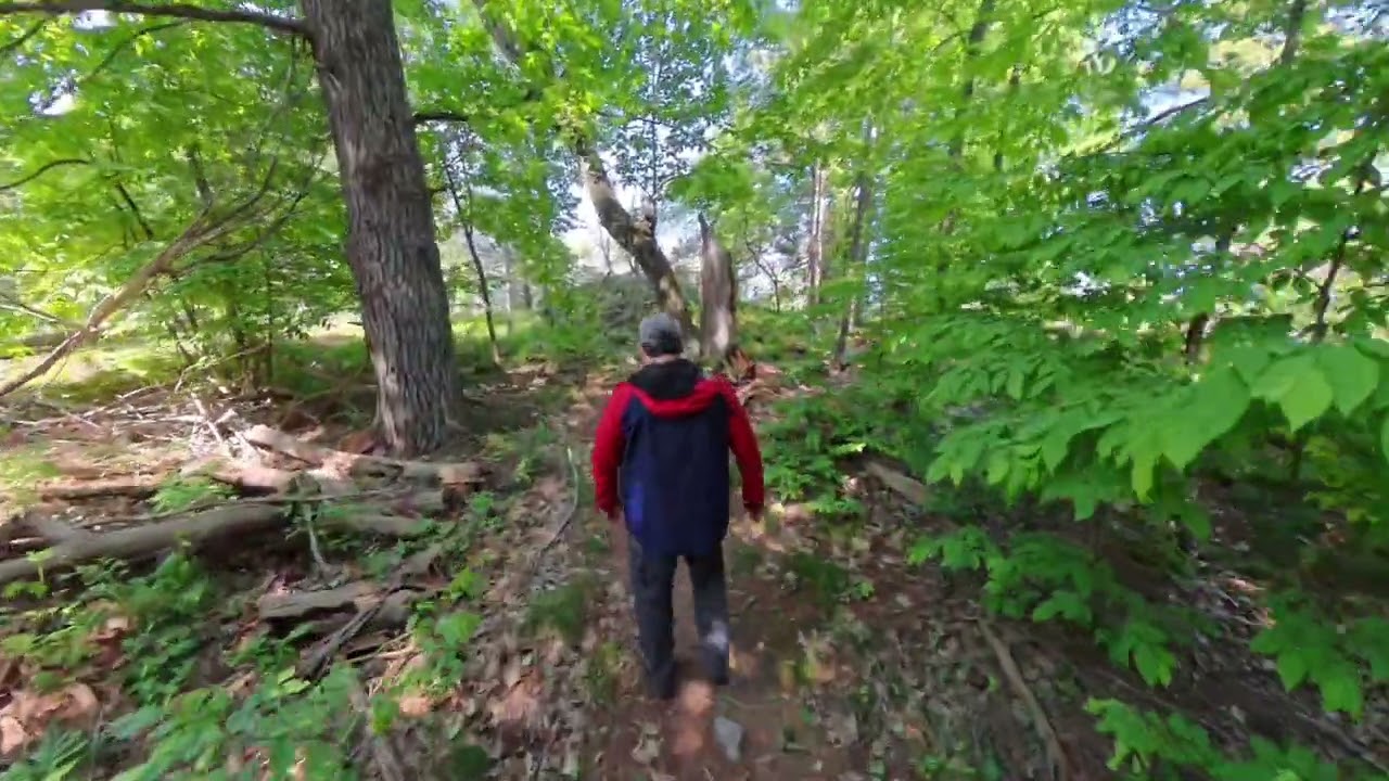 Camelot Island Hiking Trail - 1000 Islands National Park - June 2025