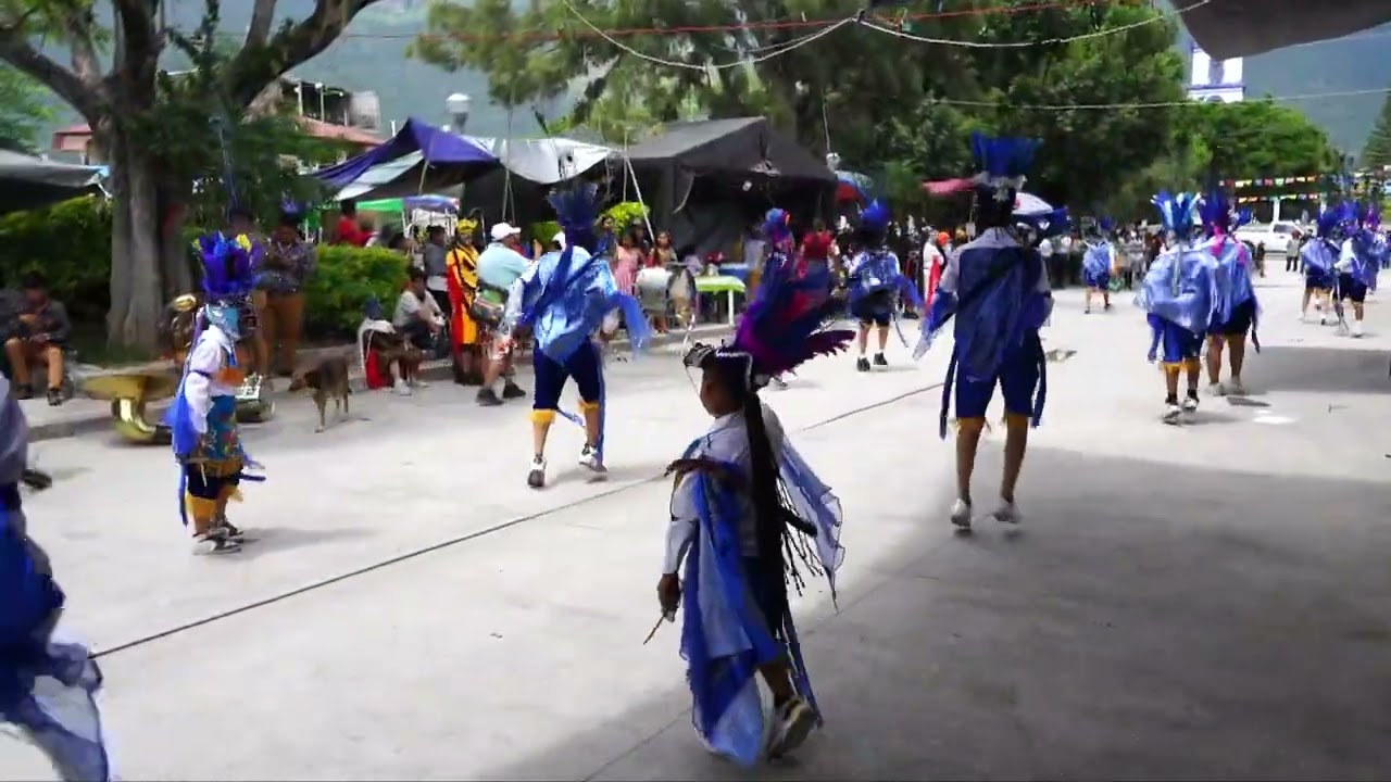 DANZA DE LOS MECOS AZULES