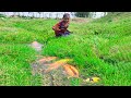 Amazing Big Carp Fish Catch By Hand | Traditional Boy Big Fish By Hand in Mud Water