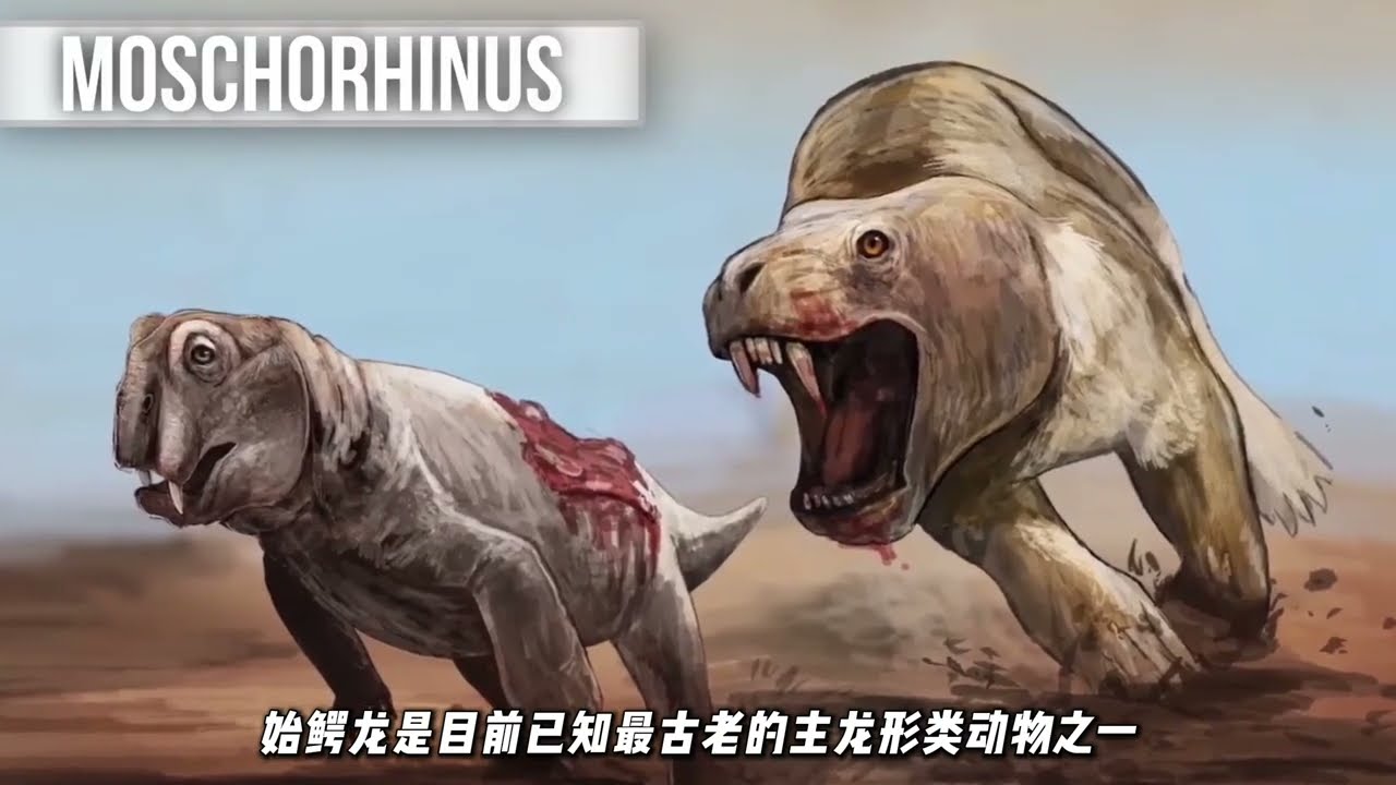 恐龙都不敢出生的年代，俄罗斯大地上跑着一群什么东西？#科普一下 #科普 #探索 #百科密码 #movie #science