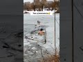 В Донецке на реке Кальмиус мужчина залез в ледяную воду чтобы спасти провалившуюся на льду собаку