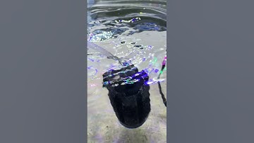 Simple Trick To Fix Floating Sponge Filters FAST!