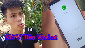 Mở ví tiền wechat và cách thêm thẻ ngân hàng để xác minh ví như thế nào.