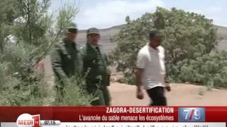 Zagora : Le danger de la désertification pèse sur la région