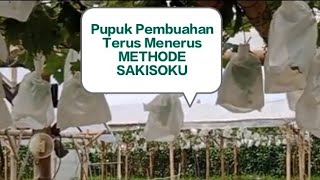 Pupuk pembuahan anggur terus menerus||METHODE SAKISOKU