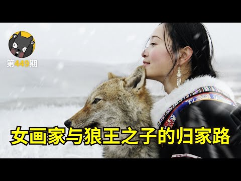 【看电影了没】中国女孩养大了一只狼，在海拔3800米送它重返狼群