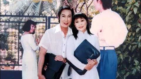 Gặp Nhau Làm Ngơ