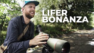 Lifers, Salsa Dancing, and Urban Birding | Valle del Cauca, Colombia | Field Guides