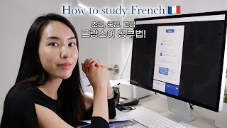 🇫🇷본뉘의 프랑스어 초, 중, 고급 공부법 + 프랑스 혁명 기념일 행사🥂 | Bonne Nuit 본뉘