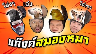 4 ราชา สมองหมา ปัญญาควาย มีอยู่จริง - BattleGround PUBG Ft.OpzTv