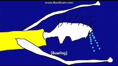 My Reaction to MediaWindowsMaker getting terminated for the 2nd time