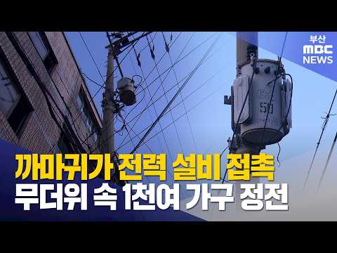 까마귀가 전력 설비 접촉..무더위 속 1천여 가구 <strong>정전</strong> (2026-08-10,월/5시뉴스와경제/부산MBC)