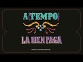Miguelichi López - La bien pagã (Audio oficial - A{TEMPO})
