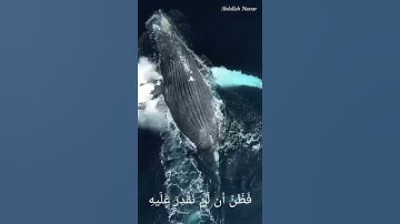 《وذا النون إذ ذهب مغاضبا 》الشيخ عبد الباسط عبد الصمد تلاوة رائعة