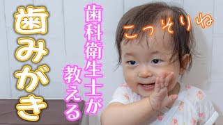 歯科衛生士さんに教わる！ 1歳児の歯みがき【生後1年1ヶ月/お役立ち】 How to tooth brushing.