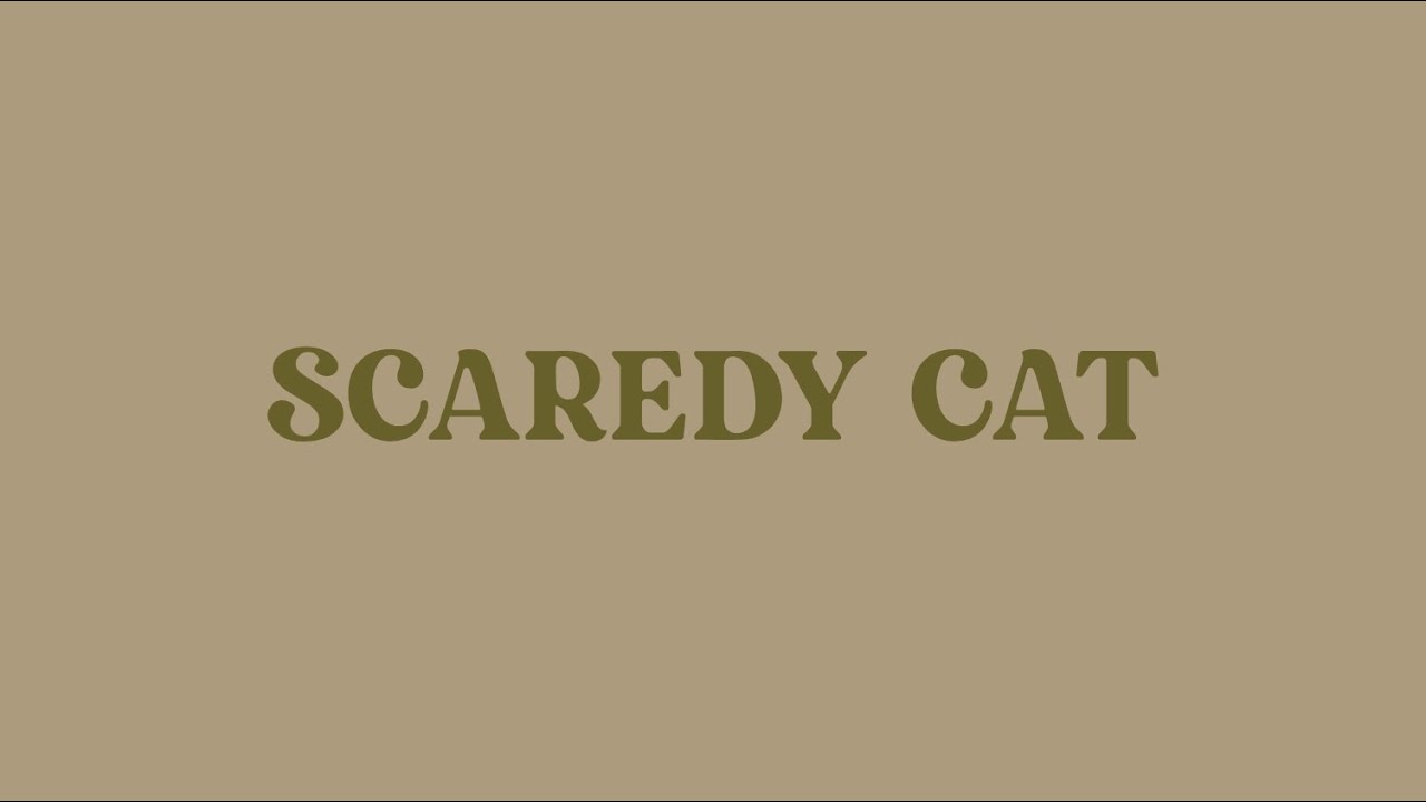 ᴇʟɪᴛᴇ ᴋʜʜ ©︎ — ☾ DPR IAN - Scaredy Cat ·│·║·║·║ @elitekhh