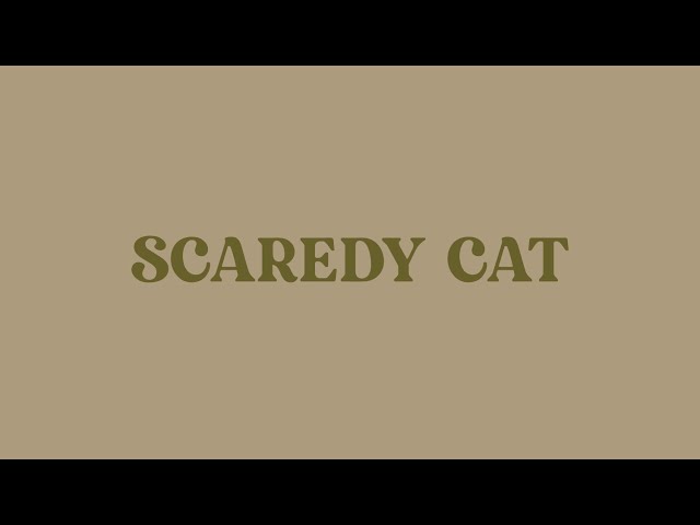 Scaredy Cat - DPR IAN (Lyrics Video) class=