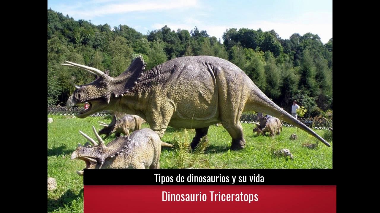 Tipos de dinosaurios y su vida - YouTube