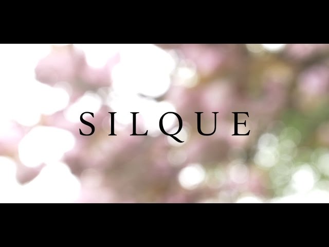 Watch SILQUE - Gloria on YouTube Watch SILQUE - Gloria on YouTube