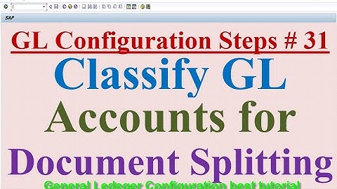 GL Configuration Steps #31 Classify GL Accounts for Document Splitting