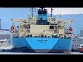 MAERSK PIPER 原油タンカー Crude Oil Tanker