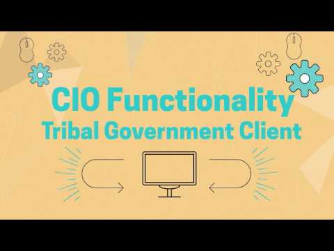 CIO Functionality