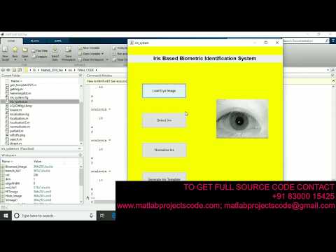 Iris based biometric identification system