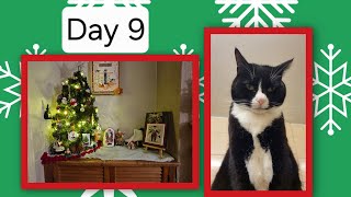 Littleworkroomcrafts vlogmass day 9, a finished cross stitch
