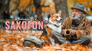 The Most Beautiful Saxophone Melodies In The World 🎷Collection Of Romantic Love Songs With Saxophon