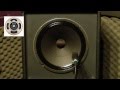 Celestion vintage 30  clean sound