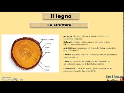 Video: Classificazione Del Legname - Come Scegliere Un Buon Legname - Legname Tondo, Tavole Di Legno - Sappiamo Cosa Stiamo Comprando - 1